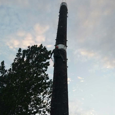 Torre de antena sumergida caliente del árbol 180km/H, torre de la célula del árbol de pino de la falsificación de Q235b